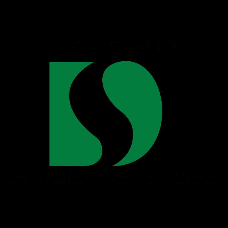 DS Group